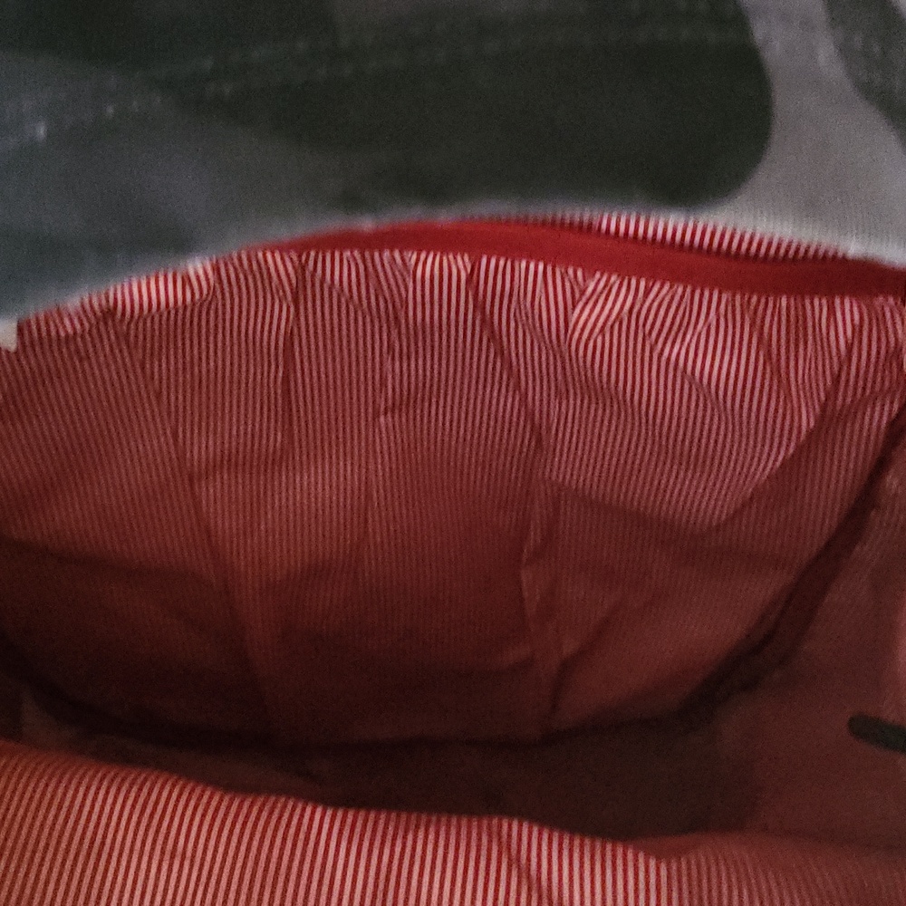 Backpack - Picture 2 of 2